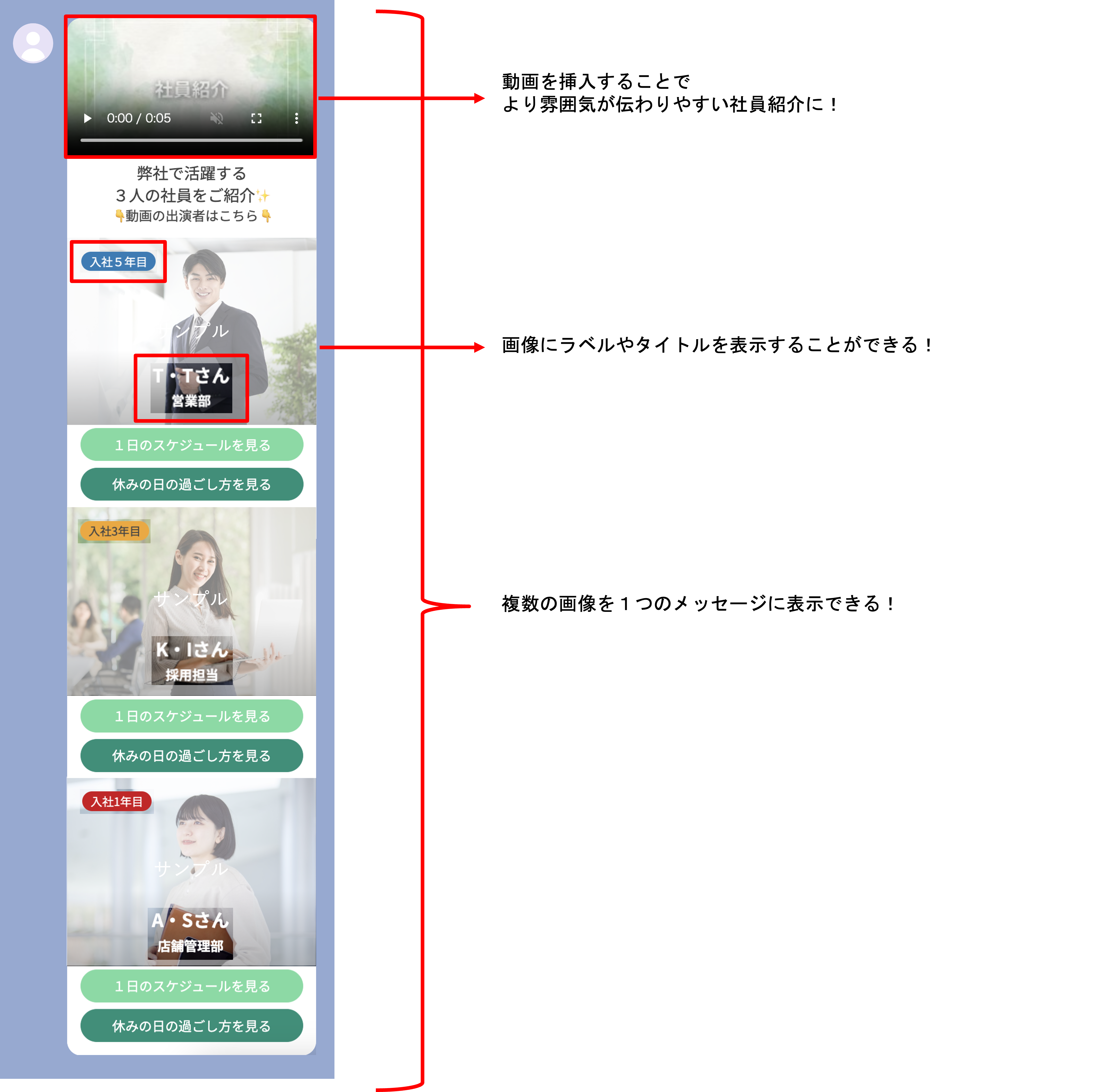動画・テキスト・画像・ボタンを組み合わせた社員紹介フレックスメッセージの全体イメージ