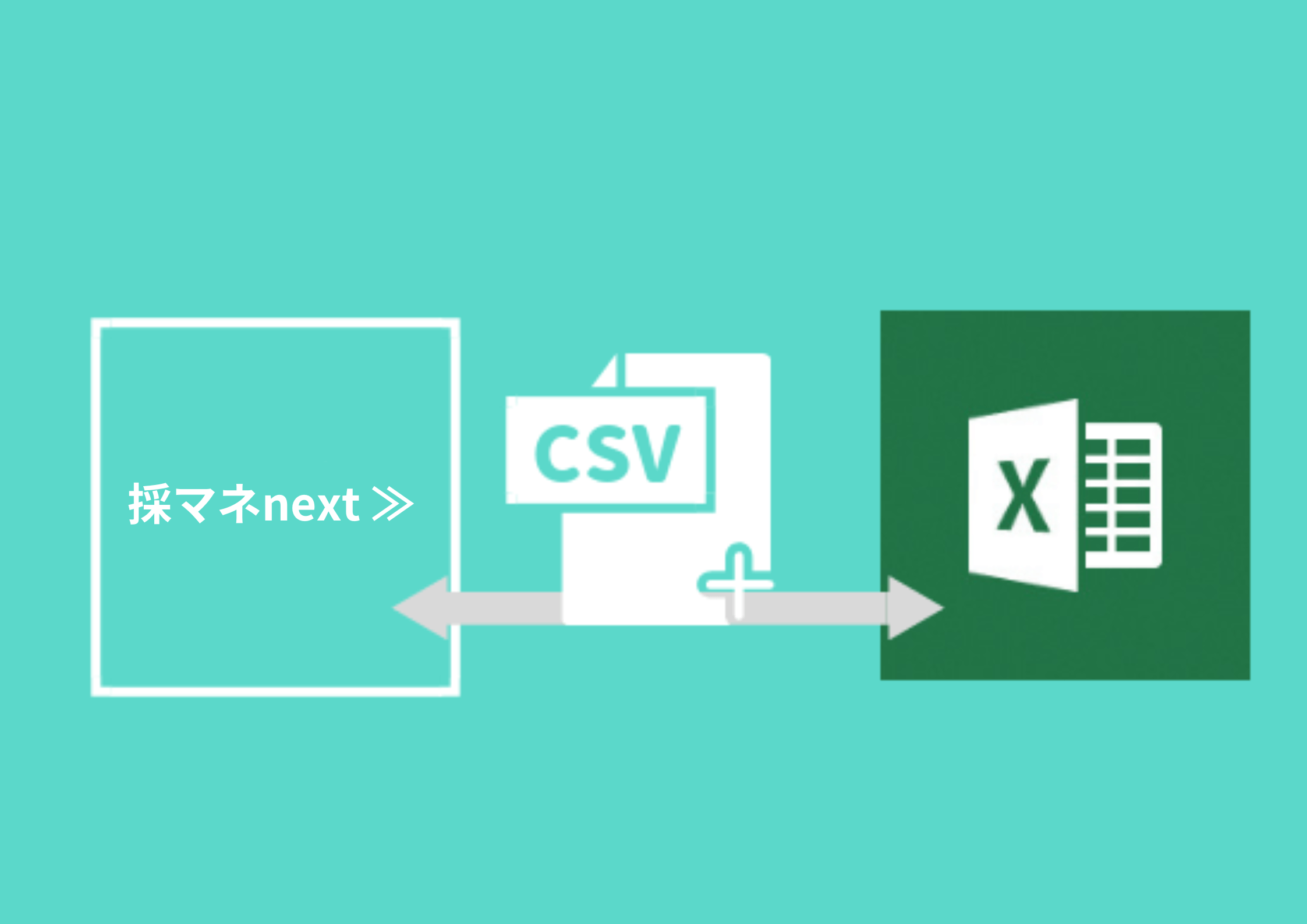 採マネnext≫のデータはExcel変換可能